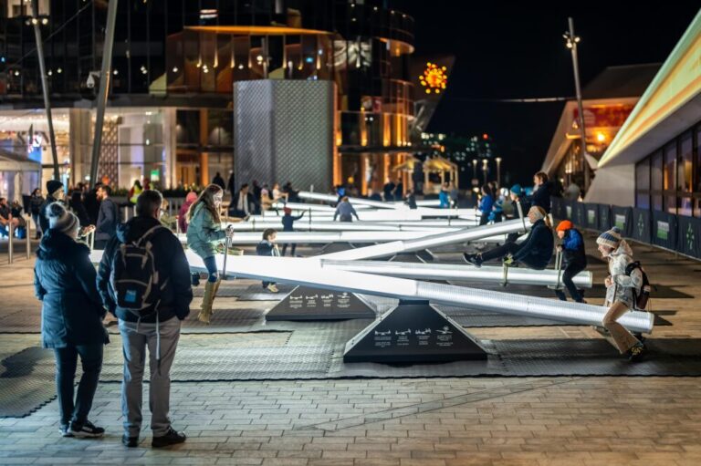 festival of lights 2025 768x511
