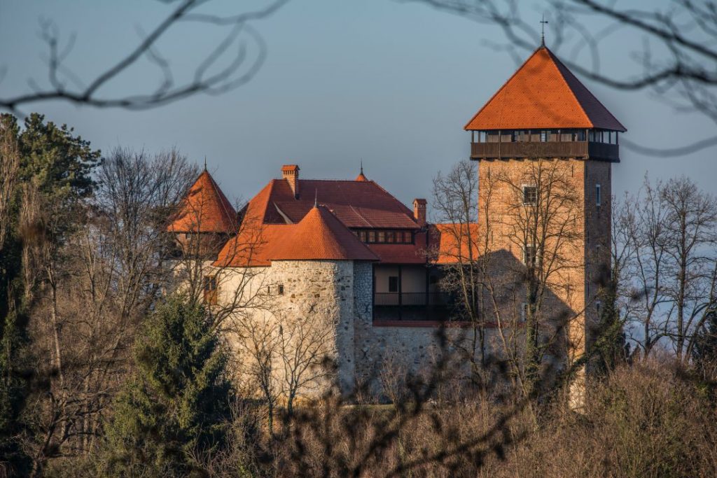 Stari grad Dubovac