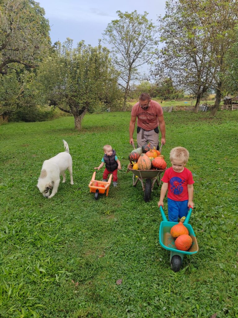 Family farm rad Sudar Radionica za djecu 768x1024